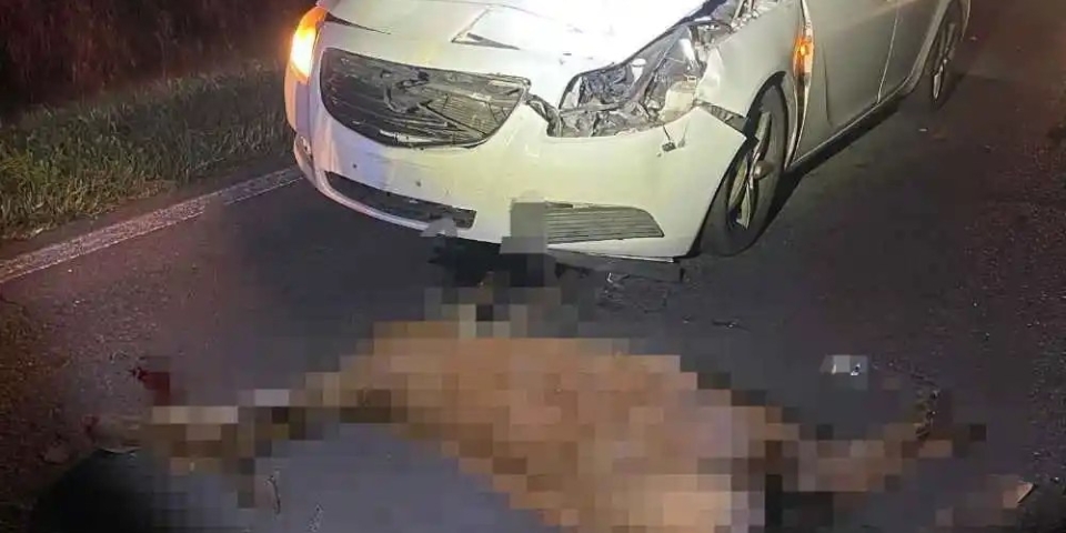 Vadgázolások Ajka környékén – Mentőautónak és személygépkocsiknak is szarvas ugrott