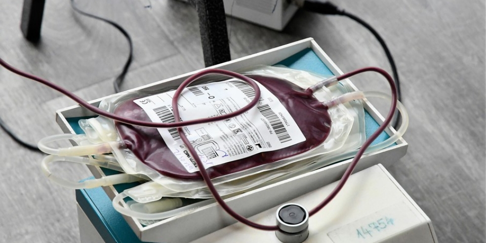 Nyáron még nagyobb szükség lehet a véradókra – Ajkán is várják az önkénteseket