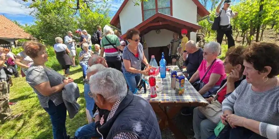 Pincéről pincére a Csékúti-hegyen