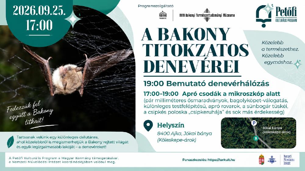 A Bakony titokzatos denevérei